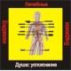 Душа - успокоение (здоровье) - аудио CD к машине для зарядки воды в ванной и для зарядки бейджиков