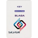 Ключ к Светлице - Блага Silver 108
