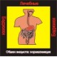 Обмен веществ - Нормализация (здоровье) - аудио CD к машине для зарядки воды в ванной и для зарядки бейджиков