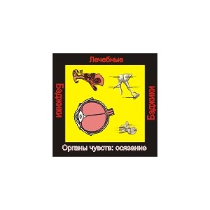 Органы Чувств - Осязание (здоровье) - аудио к машине для зарядки воды в ванной и для зарядки бейджиков