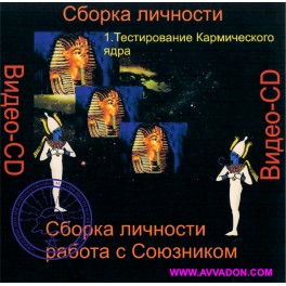Видеосистема &ndash; Сборка личности &ndash; Цикл 2. Работа с Союзником 01. Тестирование Кармического ядра