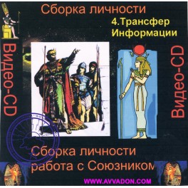 Видеосистема &ndash; Сборка личности &ndash; Цикл 2. Работа с Союзником 04. Трансфер информации