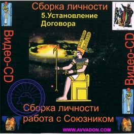 Видеосистема &ndash; Сборка личности &ndash; Цикл 2. Работа с Союзником 05. Установление Договора