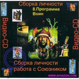 Видеосистема &ndash; Сборка личности &ndash; Цикл 2. Работа с Союзником 09. Программы Воин. Целитель. Маг. Предсказатель