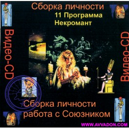 Видеосистема &ndash; Сборка личности &ndash; Цикл 2. Работа с Союзником 12. Программа Некромант
