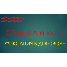 Видеосистема &ndash; Сборка личности &ndash; Цикл 3. Фиксация в Договоре