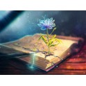Видеосистема &ndash; Волшебная книга. Магия Целителей &ndash; часть 1. Общее лечение