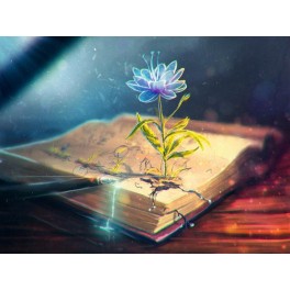 Видеосистема &ndash; Волшебная книга. Магия Целителей &ndash; часть 1. Общее лечение