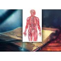 Видеосистема &ndash; Волшебная книга. Магия Целителей &ndash; часть 2. Лечение органов