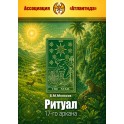 Ритуал 17-го аркана (+ВИДЕОПРИЛОЖЕНИЕ) (Серия книг "Наследие Магистра") &mdash; печатная книга