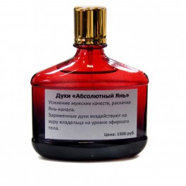 Абсолютный янь