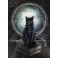 Технология использования артефакта Фамильяр  — электронная книга