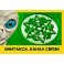 Инитакса: канал связи — магнит