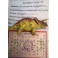Артефакт «Динозавр — помощник в развити