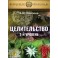 Целительство. 2-й уровень (2022) (Серия книг "Наследие Магистра") — электронная книга