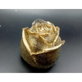 Роза &laquo;Денежный магнит&raquo;
