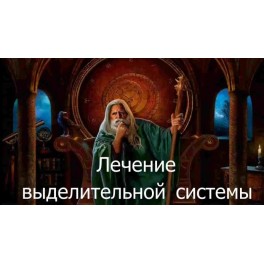 Видеозаклинание 3 типа &ndash; Лечебные &ndash; Лечение выделительной системы