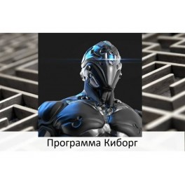 Видеосистема - Программа Киборг - видеонастройка