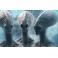 Флеш-артефакт - Генезис - Активаторы - Инопланетные монады - Сетка