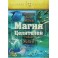 Магия Целителей (2015) (Серия книг "Наследие Магистра") — электронная книга