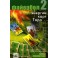 Файербол 2 — электронная книга