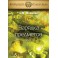 Зарядка Предметов (2023) (Серия книг "Наследие Магистра") — электронная книга