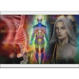 Альвы &ndash; Целители &ndash; Коды Рас &mdash; флешка-артефакт