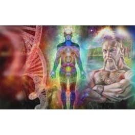 Ваны &ndash; Целители &ndash; Коды Рас &mdash; флешка-артефакт