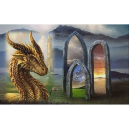Драконы &ndash; Разведчики &ndash; Коды Рас &mdash; флешка-артефакт